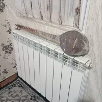 دو عدد سه تار تنبور