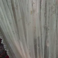 فرش   پادری  1/5×2/5|پادری|اصفهان, خرم|دیوار