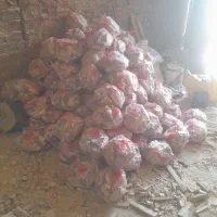 چوب آتش