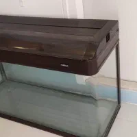 آکواریوم ماهیران ۲۰۰ لیتر|ماهی|تهران, کرمان|دیوار