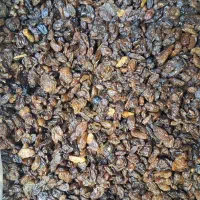 کشمش افتابی اعلا قیمت مناسب