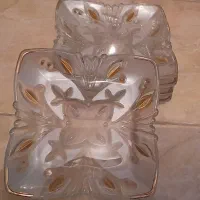 ظروف پذیرایی