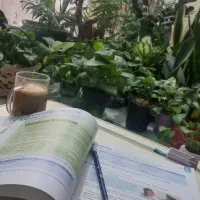 گل و گیاه طبیعی