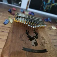 کالیمبا سگا پیکاپخور|سازهای سنتی|رشت, دباغیان|دیوار