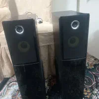 باند مارک میکرولب