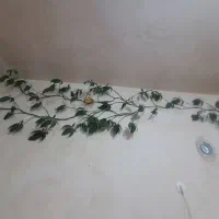 گلطبیعیآلمانی