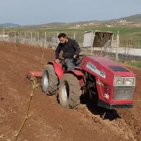 شخم زدن باغ با تراکتور کمرشکن باغی