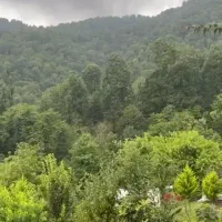 فروش ویلای ۴۰۸متری با ۱۳۰متر بنای نوساز|فروش خانه و ویلا|شاندرمن, |دیوار