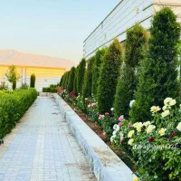 خدمات باغبانی ماهداشت کمال شهر محمدشهر تمام نقاط