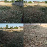 چمنزنی علف زنی بادستگاه