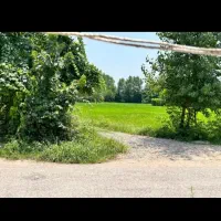 اجاره سوییت ویلا