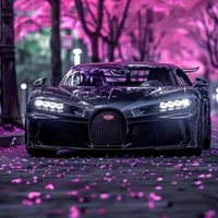 راننده هستم سواری پیکاپ وانت تراکتور
