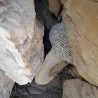 عسل طبیعی بشرط آزمایشگاه|خوردنی و آشامیدنی|لامرد, |دیوار