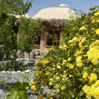 بومگردی سرای مقبول نوفرست دربست|اجارهٔ کوتاهمدت ویلا و باغ|بیرجند, |دیوار