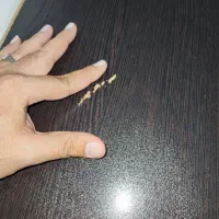 دراور و کمد|جاکفشی، کمد، دراور|سنندج, |دیوار