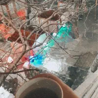 اجاره باغ رستوران +سوییت بازسازی‌شده در باغ درکه
