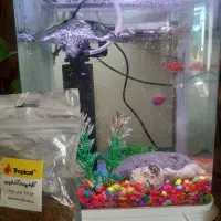 اکواریوم دلسا