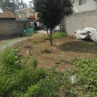 زمین کشاورزی فروش ۲۵۰۰ متری
