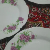 پلو خوری گل سرخ|ظروف سرو و پذیرایی|اردبیل, |دیوار