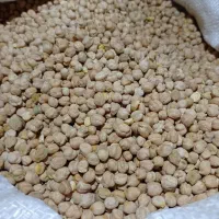 نخود پزا ب شرط فروش فور