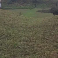 فروش زمین باغ شهری