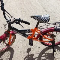 دو عدد دوچرخه