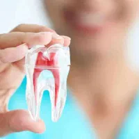 جذب منشی یا دستیار خانم
