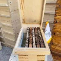 عسل طبیعی چهل چشمه روستای دەرەوزان|خوردنی و آشامیدنی|دیواندره, |دیوار