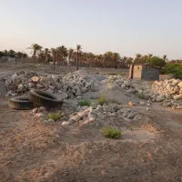 زمین مسکونی بنه گز|فروش زمین و ملک کلنگی|اهرم, |دیوار