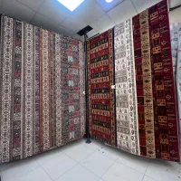 بلوچ لاکی ۲۴ ماهه سلیمانی