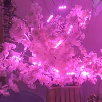 شاخ گل مصنوعی شکوفه ژاپنی