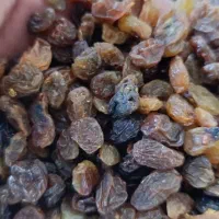 کشمش ابگیری|خوردنی و آشامیدنی|ملایر, |دیوار