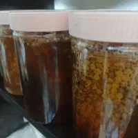 عسل صد در صد طبیعی سید|خوردنی و آشامیدنی|قم, چهار مردان|دیوار