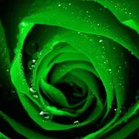 دبیر خصوصی عربی