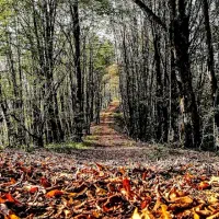 تور دو روزه چهارشنبه 5 آذر بندرترکمن صحرا|تور و چارتر|رشت, کوی فرهنگیان|دیوار