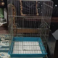 قفس بزرگ کاسکویی