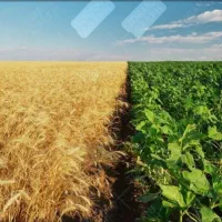 فروش زمین کشاورزی 40هکتار