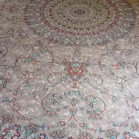 قالی 12متری هزار شانه|فرش|شیراز, باغ تخت|دیوار
