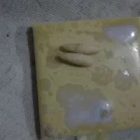 مهر اصل به شرط میدم