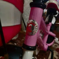 درحدنونو دیسکدار ژاپنی 12قناری باسند فروشگاهی