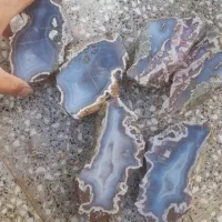 فروش انواع شجرهای بهاره و پاییزه و انواع عقیق|بدلیجات|فردوس (خراسان), |دیوار