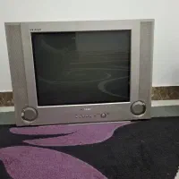 تلویزیون