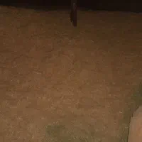 کاه سفید وکاه ینجه