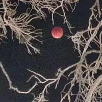 کمک می‌خوام