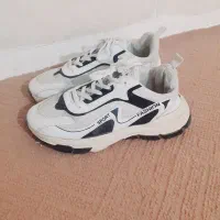 کفش و کیف|کیف، کفش، کمربند|گرگان, |دیوار