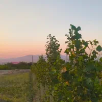 هزارمتر زمین باغی ویلا