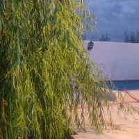 زیرقیمت 1070متر باغ ویلا مجموعه  سازمانی فرهنگیان|فروش خانه و ویلا|مشهد, آبادگران|دیوار