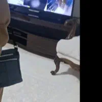 اجاره|اجارهٔ آپارتمان|رباط‌کریم, مسکن مهر آبشناسان|دیوار