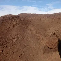 کود حیوانی  گاوی و گوسفندی