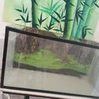 اکواریوم|ماهی|پشتکوه (فارس), |دیوار